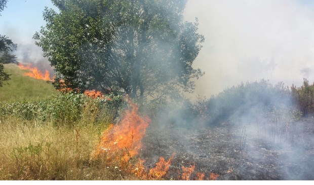 Er woedt een grote heidebrand aan de Fabrieksstraat in Budel.