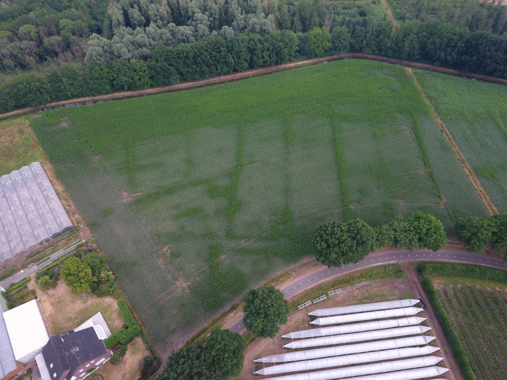 DCIM\100MEDIA\DJI_0019.JPG
