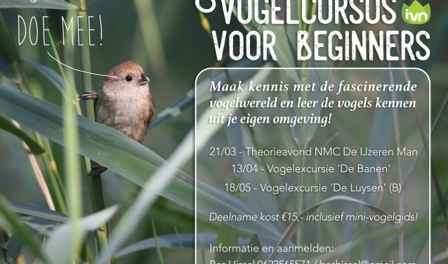 vogelcursus
