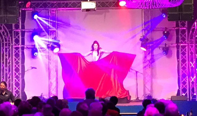 De artiesten kregen lovende kritieken van de senioren