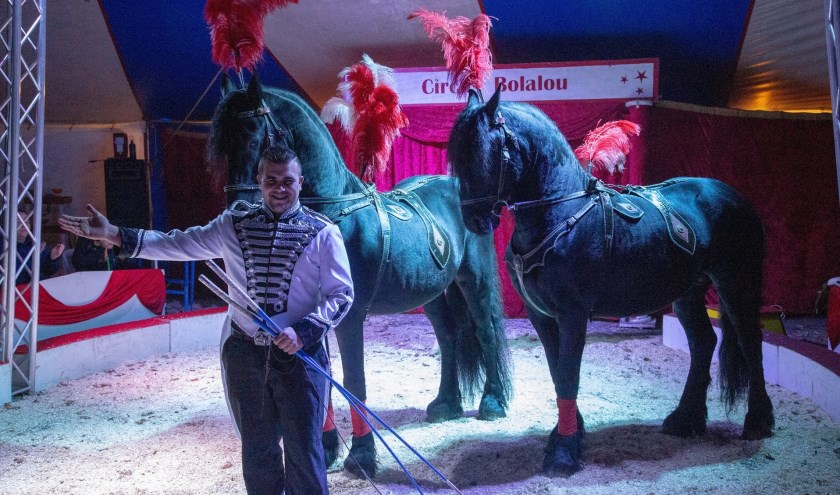 Friese paarden dressuur bij Circus Bolalou