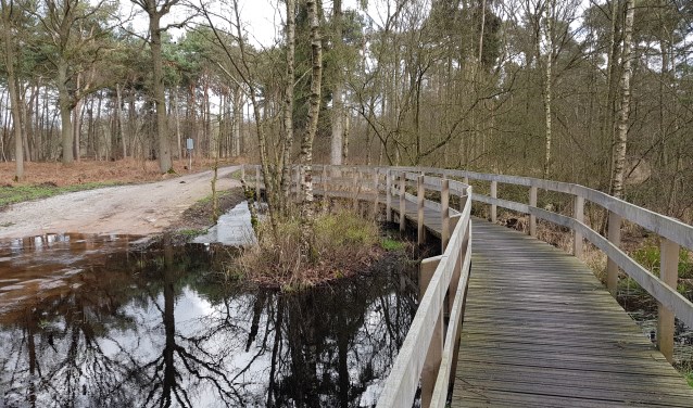 Buulderbroek en Cranendonckse bos