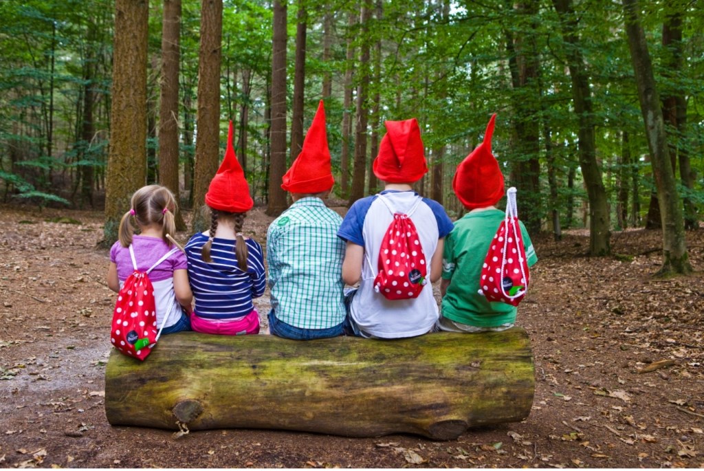 Educatieprogramma’s en ontdekkingstochten in de natuur