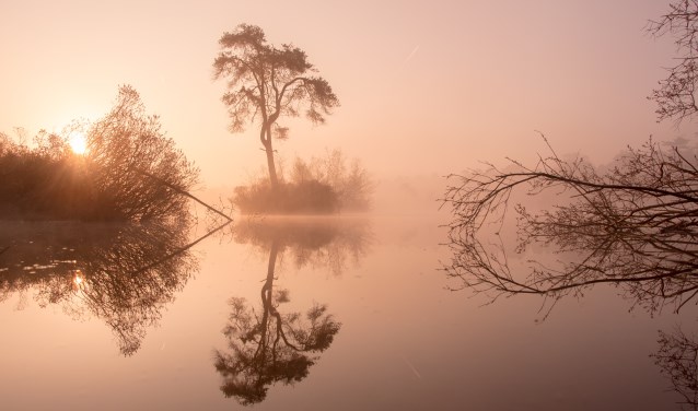Sandra Engels, Goedemorgen Oisterwijk