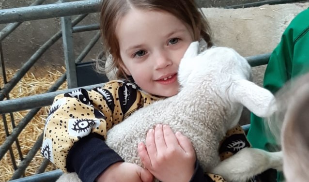 Lammetje op schoot.