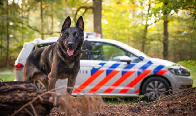 Archieffoto van de politiehond Biko.