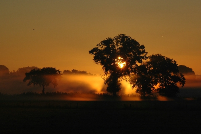 Zonsopgang