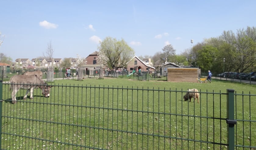 Kinderboerderij Gemeenteraad wil blik op toekomst richten Houtens