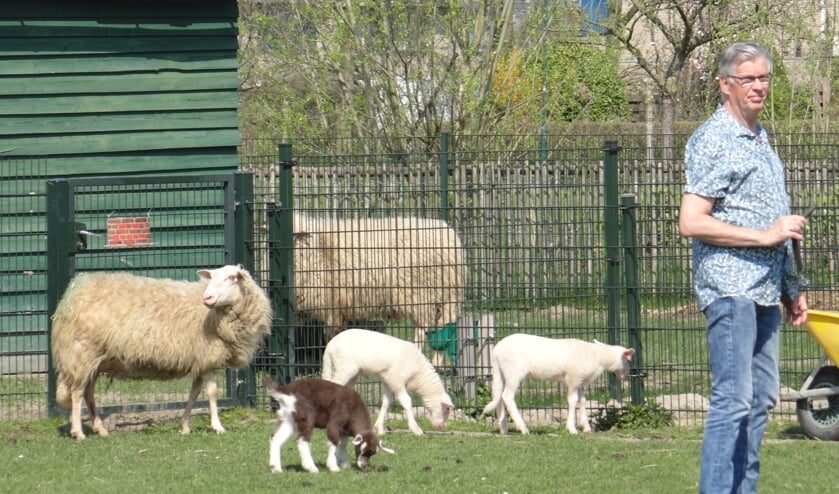 Minder dieren op de kinderboerderij Houten Nieuwsblad De Kaap