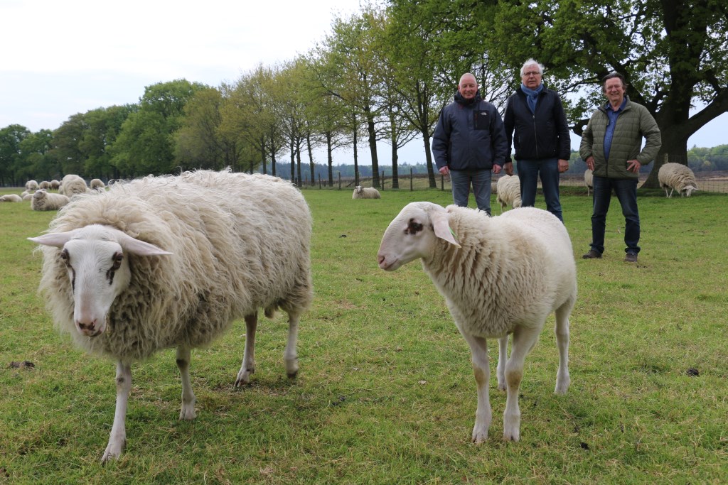 Vlnr: William, Herman Prangsma en Alan Geensen op locatie bij de Edese schapen.