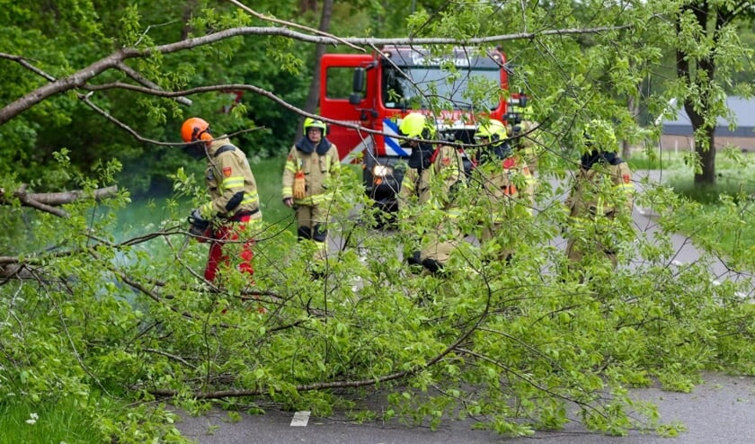 Grote boom waait over Garderbroekerweg in Voorthuizen