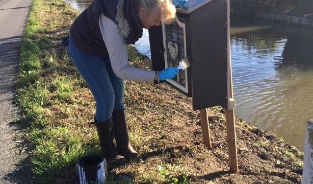 De Nieuwerkerkse Ingrid Plat legde afgelopen weekend de laatste hand aan haar eigen minibibliotheek.