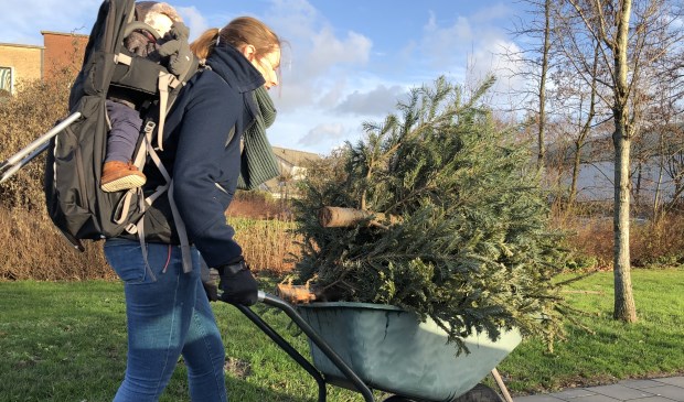 Een moeder in Zevenhuizen heeft een slimme oplossing gevonden voor het vervoer van kerstbomen naar de parkeerplaats bij dorpshuis Swanla.