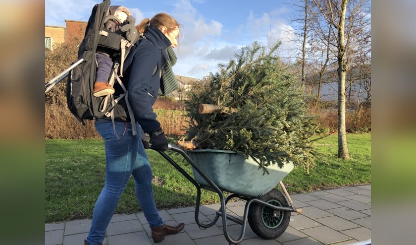Een moeder in Zevenhuizen heeft een slimme oplossing gevonden voor het vervoer van kerstbomen naar de parkeerplaats bij dorpshuis Swanla.