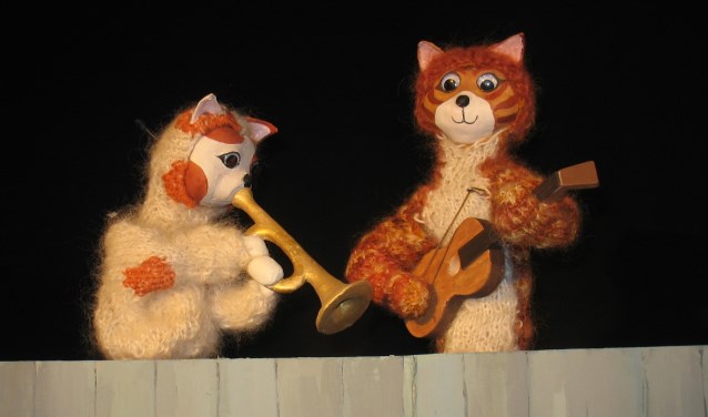 kater met klein hartje zoekt nieuw huis in theater swanla | hvh zuidplas
