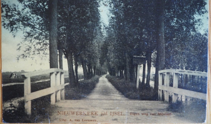 De Hitlandselaan - toen nog een particuliere weg - omstreeks 1920 op een ansichtkaart. De bomen staan er al ruim een halve eeuw niet meer.