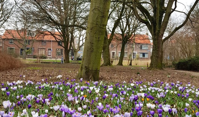 In de tuin komen zes kunstwerken die te maken hebben met de geschiedenis van Moordrecht.
