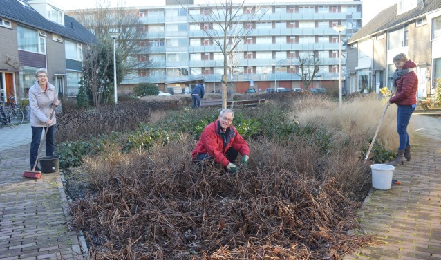Het ontwerp voor de buurttuin - die er in februari nog wat troosteloos uitzag - is door de bewoners van de Busken Huetlaan zelf gemaakt.