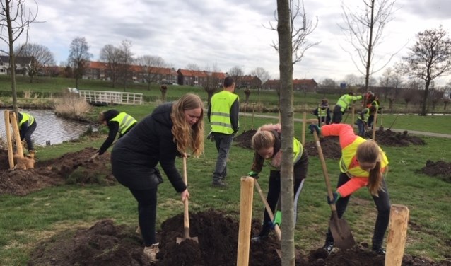 Op een groenstrook op bedrijventerrein Coenecoop, tegenover de Kanaaldijk, werden twintig fruitbomen geplant.