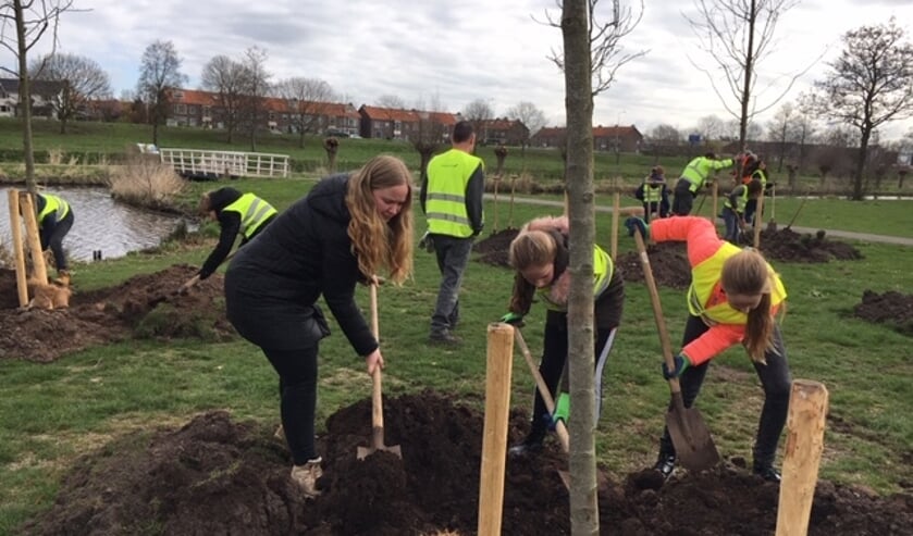 Op een groenstrook op bedrijventerrein Coenecoop, tegenover de Kanaaldijk, werden twintig fruitbomen geplant.