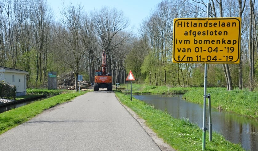 Na de kap van zo'n 240 populieren is de Hitlandselaan weer open.