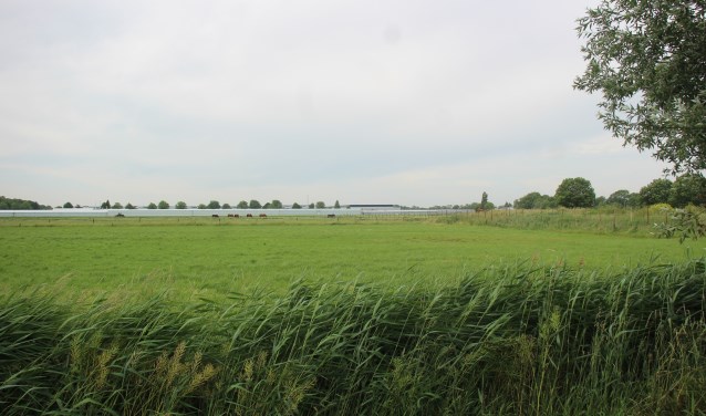 Het gebied waar de Vredenburghzone is bedacht. (Foto en tekst: Erik van Leeuwen)