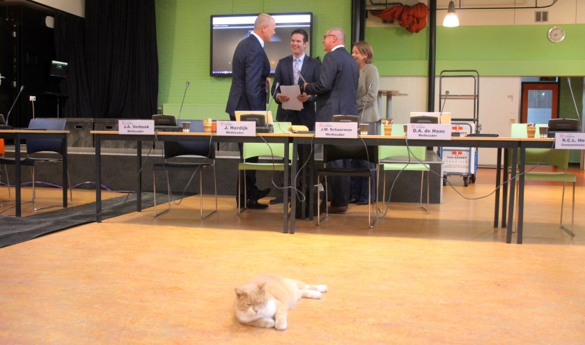 De roodharige kater posteert zich regelmatig in het middelpunt van de gemeenteraadsvergadering. "Pure intimidatie", aldus de burgemeester.