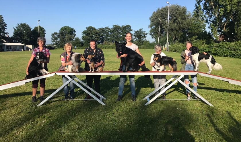 De behendigheidsgroep op donderdag. (foto:pr)