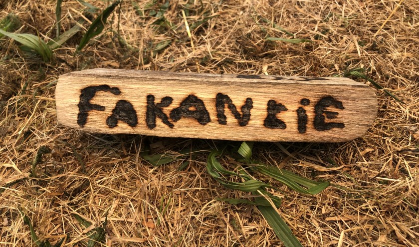 Een stuk hout, een vergrootglas en zon: vakantie!