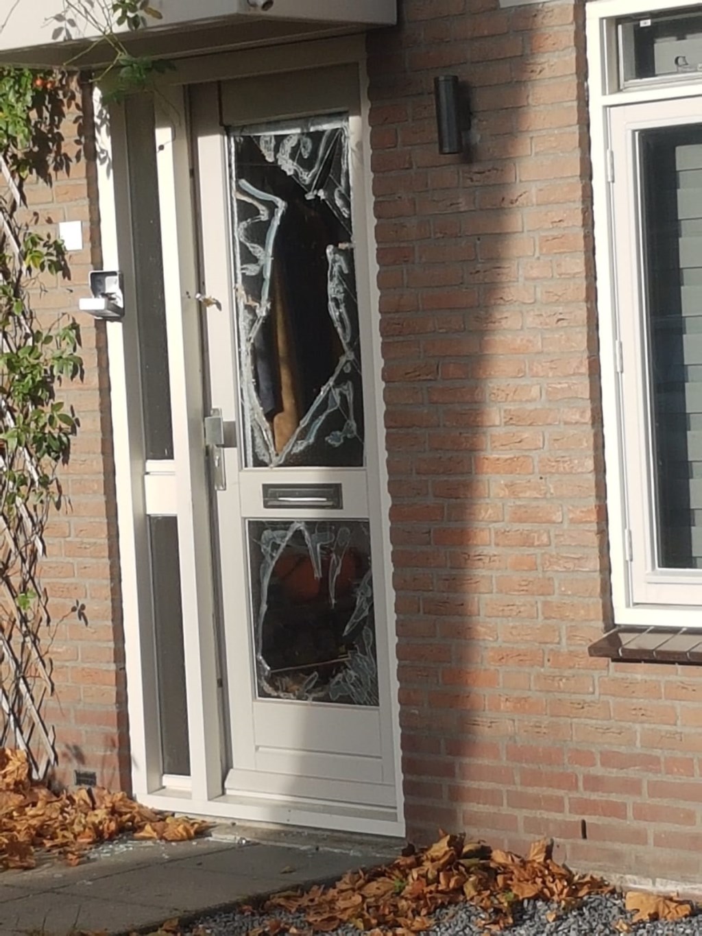 Een arrestatieteam van de politie drong vrijdagavond de woning van de 52-jarige man binnen. | Fotonummer: 1032bd