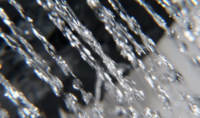 (Archieffoto: Frédéric BISSON/Flickr) | Fotonummer: cb74ee