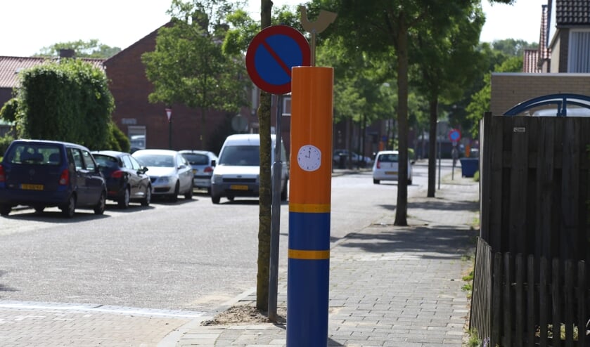 De gekleurde 'Magere Josjes' werden in mei geplaatst. (Foto: Sander van Kasteren) | Fotonummer: b55571