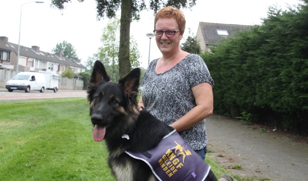 Marja van Hummel met een geleidehond die zij heeft opgeleid. | Fotonummer: 4dc6e1