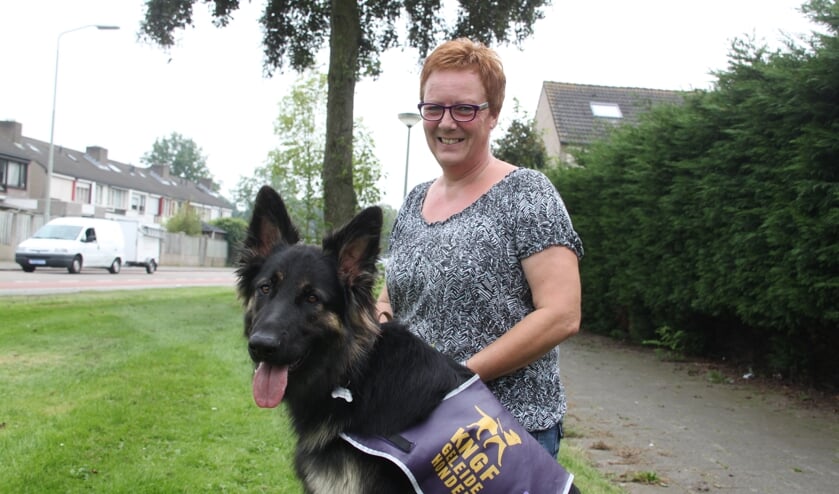 Marja van Hummel met een geleidehond die zij heeft opgeleid. | Fotonummer: 4dc6e1