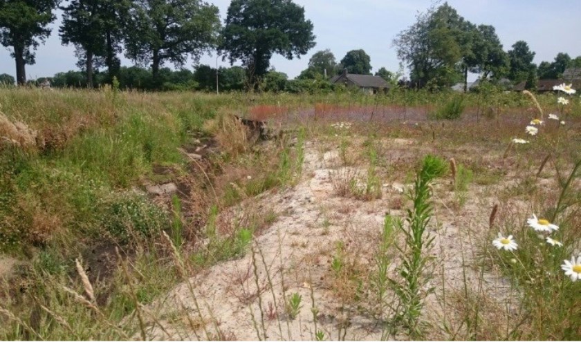 De Kleine Beerze in Oostelbeers is helemaal drooggevallen. | Fotonummer: b4fae0