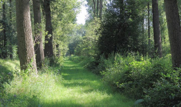 Voormalige vloeivelden in natuurgebied De Scheeken | Fotonummer: b44931