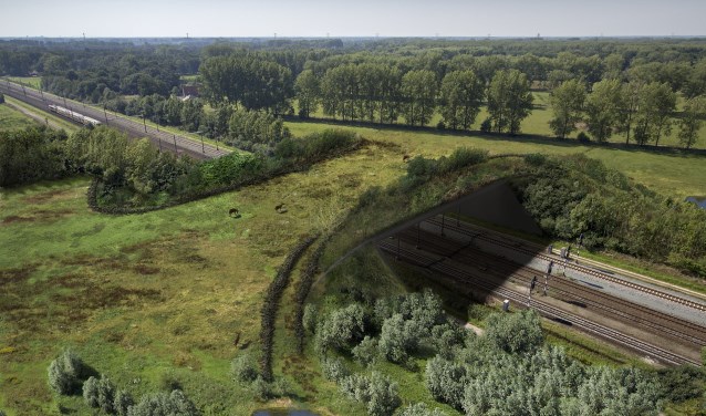 Een impressie van hoe de nieuwe natuurbrug eruit moet komen te zien. | Fotonummer: f82436