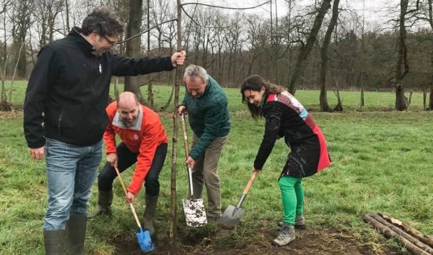 Boudewijn Tooren (l.) van de Herenboeren, wethouder Herman van Wanrooij (m.) en gedeputeerde Anne-Marie Spierings, bezig de aanplant van een boom. | Fotonummer: 974195
