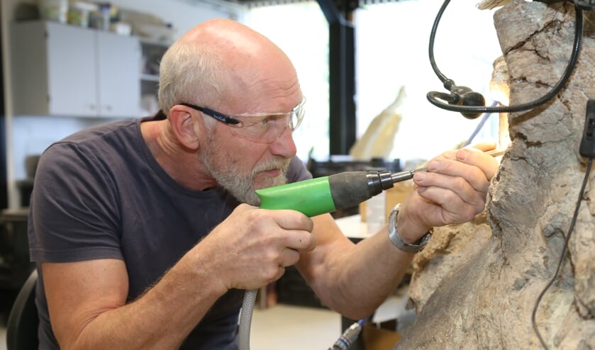 Preparateur Aart Walen. (Foto's: Sander van Kasteren) | Fotonummer: c5b099