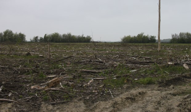 De huidige situatie bij wat er over is van het Bosje van Klompe. (Foto: Kees Slager).