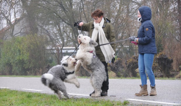 Wandelaars uit Roosendaal op de Hikseweg.