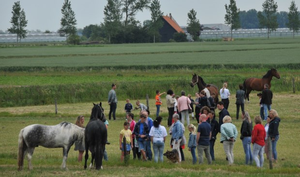 Bij de familie Breure bij Sint-Maartensdijk was er aandacht voor de paarden.