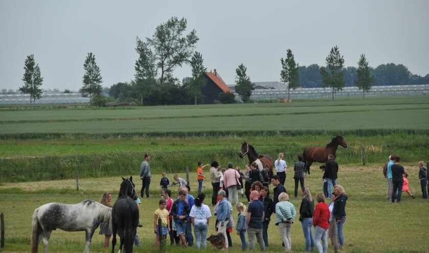 Bij de familie Breure bij Sint-Maartensdijk was er aandacht voor de paarden.
