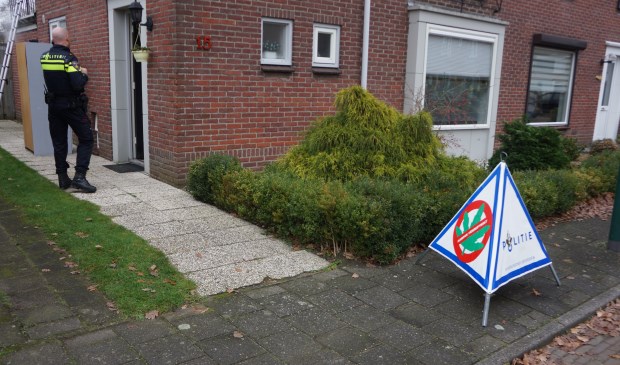 In deze woning werden veel planten gevonden. | Fotonummer: a53c76