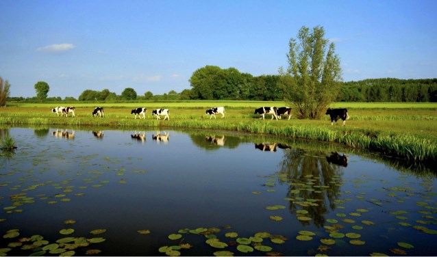 Dommel bij Olland, Henri van Weert | Fotonummer: d0755b