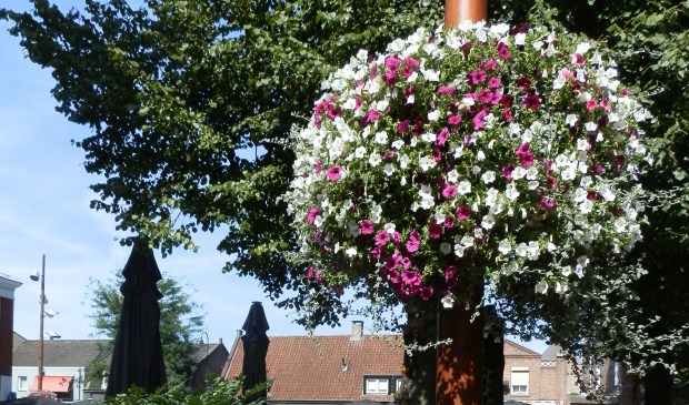 Hier een mooi voorbeeld! | Fotonummer: 90794e