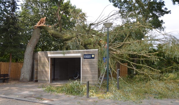 Deze boom knakte vannacht om. | Fotonummer: 8127ce