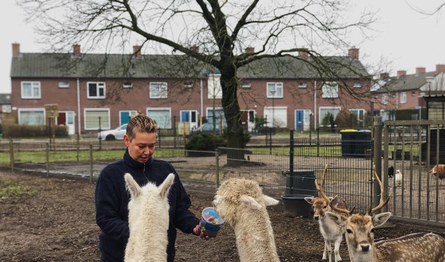 Dit is het dierenparkje waar het verhaal over gaat. | Fotonummer: e25115