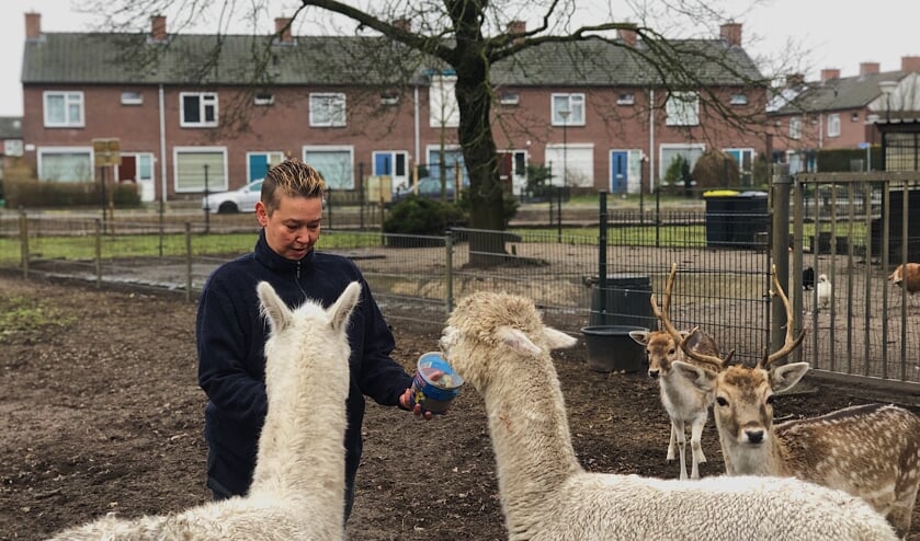 Dit is het dierenparkje waar het verhaal over gaat. | Fotonummer: e25115