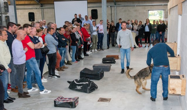Foto: Ellis Rijkers | Fotonummer: 013d92